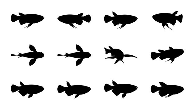 12 Black Silhouette Fish Vector Icons, Aquatic Animal Shapes, Marine Life Collection, Underwater Creature Graphics, Seafood Design Elements