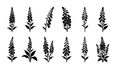Digitalis Flower Silhouettes, Foxglove Plant Vector Icons, Botanical Illustration Set, Wildflower Nature Graphics © Arif