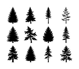 Obraz premium Conifer Tree Silhouettes Collection, Evergreen Forest Icons, Pine Spruce Fir Vector Graphics, Nature Woodland Elements, Black and White Botanical Illustrations