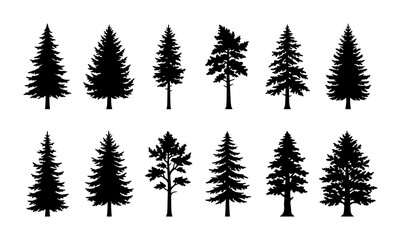 Diverse Evergreen Tree Silhouettes Collection, Coniferous Forest Elements, Pine and Fir Vector Icons for Nature Design © Romiz