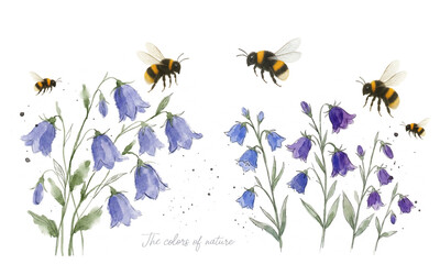 Obraz premium Entomology, Beetle, insect, grasshopper, flowers, spring, summer, beauty, watercolor, hand painting