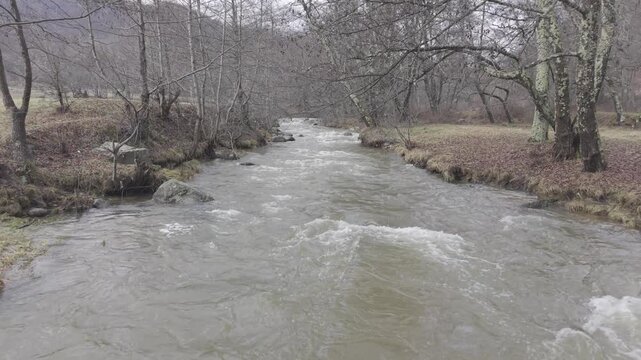 Rushing River Flowing Through Bare Forest in Early Spring