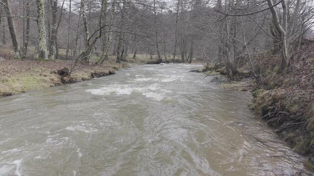 Rushing River Flowing Through Bare Forest in Early Spring