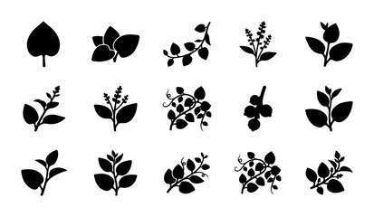 Botanical Silhouette Icons: Leaf and Branch Vector Graphics Collection, Nature Elements for Design © Mahmud