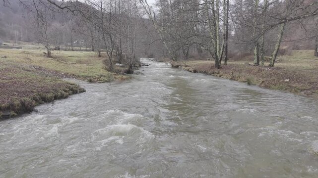 Rushing River Flowing Through Bare Forest in Early Spring