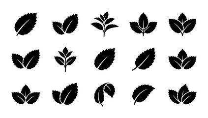 15 Black Mint Leaf Icons, Vector Set: Fresh Herb Symbols for Culinary, Wellness, and Organic Branding © Mahmud