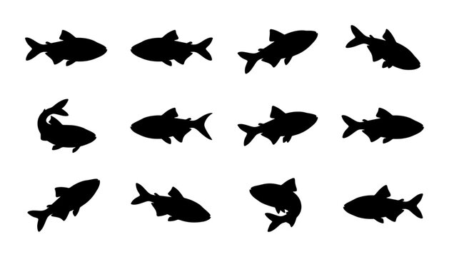 Twelve Silhouette Fish Icons, Aquatic Life Vector Set, Marine Animal Graphics, Underwater Wildlife Illustrations, Fishing and Seafood Concepts