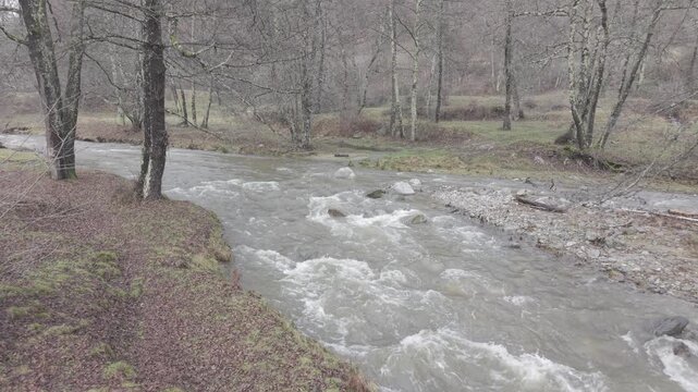 Rushing River Flowing Through Bare Forest in Early Spring
