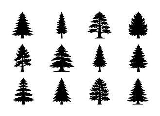 Obraz premium Conifer Tree Silhouettes Collection, Evergreen Forest Icons, Pine Spruce Fir Vector Set, Nature Woodland Elements for Design