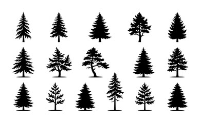 Obraz premium Coniferous Tree Silhouettes Collection, Evergreen Pine Forest Icons, Nature Woodland Vector Graphics, Seasonal Forest Elements for Design