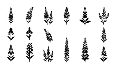Botanical Foxglove Vector Icons, Delicate Floral Silhouettes, Wildflower Sprigs, Elegant Plant Illustrations for Nature Designs © Rakib