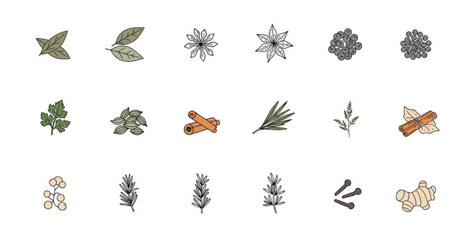 Hand drawn collection of various culinary spices and herbs including cinnamon sticks, ginger root, star anise, and peppercorns for cooking theme.