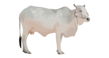 A serene cow stands calmly in a natural setting with gentle expressions. © John