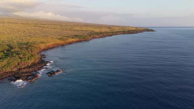 Aerial view of Kapaa Beach Park coastline with kiawe trees along the rocky shore in Hawi, Hawaii, United States.