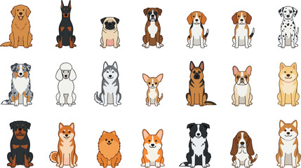 Dog breeds collection featuring popular domestic puppies including golden retriever pug husky and german shepherd for veterinary and pet care infographic design © HELEN QUEEN