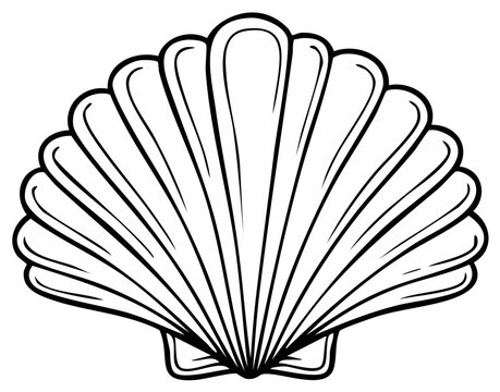 Black and white illustration of a seashell with intricate lines, representing marine life and ocean themes.