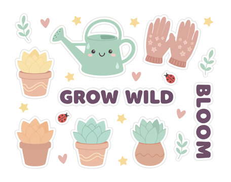 Grow Wild Bloom