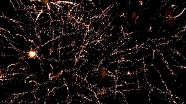 Colorful fireworks in the night sky.