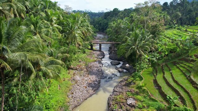 Aerial drone footage of a wild river in Wadaslintang area, Wonosobo regency, Java island area, Indonesia, with an old bridge, forest and palm trees around, many stones, green terrace rice fields