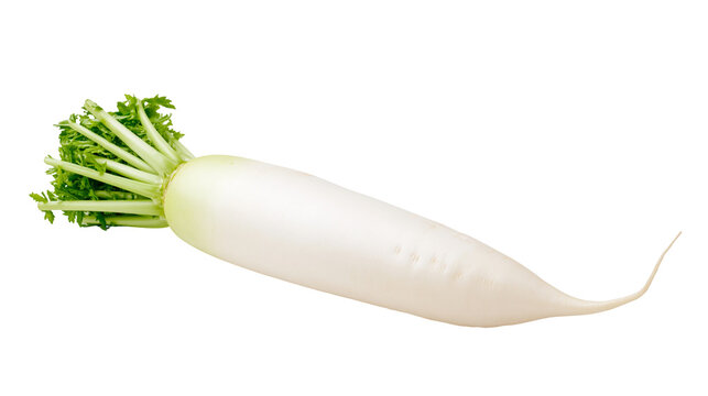 White daikon radish with green leaves