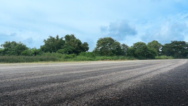Horizontal wide angle of an empty asphalt road. Surface running parallel to a distant line of green trees under a vast blue sky dotted with  clouds. Street was empty devoid of people and vehicles.