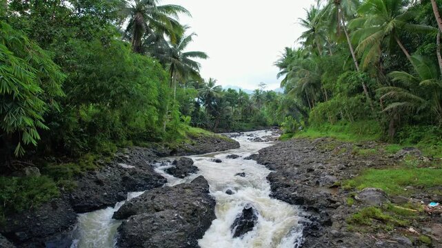 Aerial drone footage of a wild river in Wadaslintang area, Wonosobo regency, Java island area, Indonesia, with forest and palm trees around, many stones