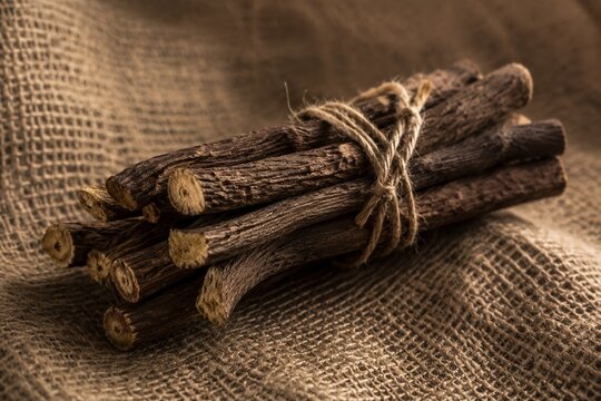 Bundle of dried licorice roots on burlap fabric, textural detail.