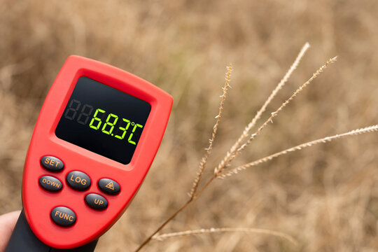 The parched withered grassland gets scorched under harsh blazing sun, hitting a sweltering high temperature of 68.3 Celsius