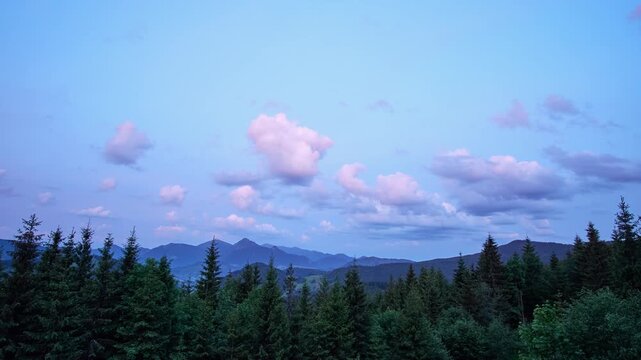 Twilight mountain panorama above evergreen forest from elevated viewpoint, with layered ridges, central peak, pastel sky, soft haze, and calm scenic wilderness mood