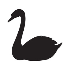 Black swan silhouette © Emdad Bodda