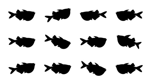 Twelve Black Fish Silhouettes, Aquatic Life Vector Icons, Marine Wildlife Graphics, Underwater Creatures Pattern