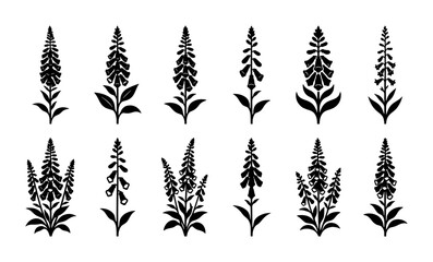 Elegant Black Foxglove Flower Vector Silhouettes, Digitalis Plant Illustrations, Botanical Artwork, Garden Blooms, Nature Elements for Design © Lia