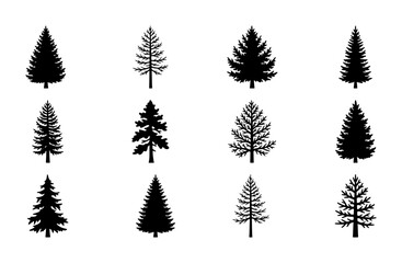 Fototapeta premium Set of 12 Black Silhouette Pine Trees, Conifer Forest Icons, Evergreen Woodland Vector Graphics for Nature and Outdoor Design