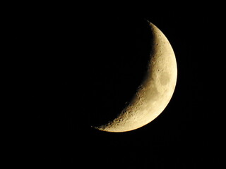 rising moon © Nikolas