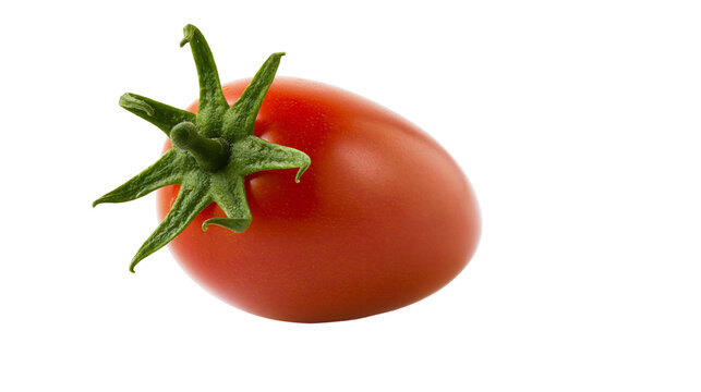 Ripe red plum tomato with green stem and leaves