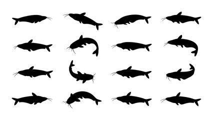 Fototapeta premium Catfish Silhouette Collection, Diverse Poses and Angles, Aquatic Animal Vector Icons, Black and White Marine Life Graphics