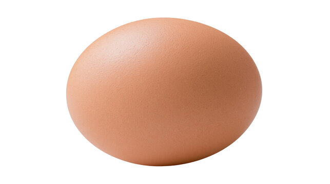 Brown chicken egg with smooth shell texture