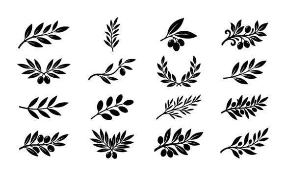 Elegant Olive Branch Vector Icons, Botanical Elements, Mediterranean Accents, Decorative Sprigs for Branding and Design