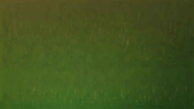 Enchanting Floating Firefly Lights Drifting Naturally with Warm Glow, Dreamy Green Bokeh Particles Motion Background