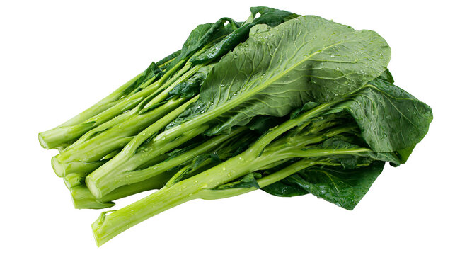 Fresh Chinese Broccoli Stems and Leaves with Water Droplets