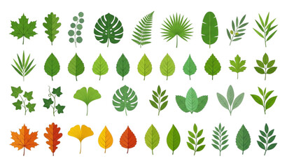 Botanical Leaves Vector Collection © Prodip