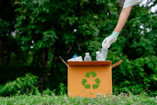 Volunteer placing plastic bottles into a recycling box during an environmental cleanup. Sustainable waste management, circular economy, eco-friendly action.