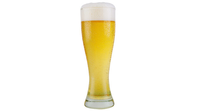 Pilsner glass filled with golden beer and white foam