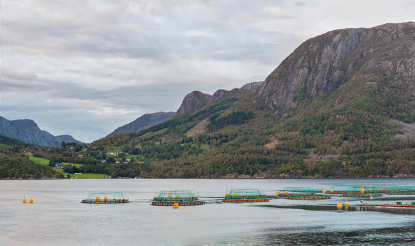 Aquaculture Fish Farm in Oltedal Fjord, Norway