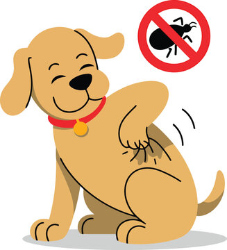 Dog scratching flea infestation vector illustration.