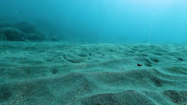 Smooth underwater advance over Bubble Beach near Dili, Timor-Leste, revealing natural methane bubbles escaping from the sandy seabed in shimmering vertical streams.