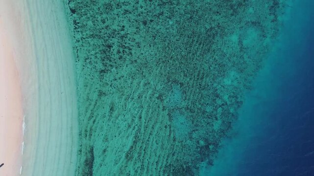 Aerial View of Tropical Beach and Coral Reef