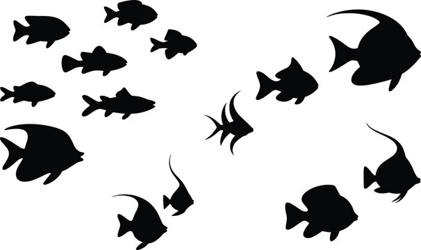 Vector collection of various tropical reef fish and angelfish silhouettes swimming isolated on white background for logo design