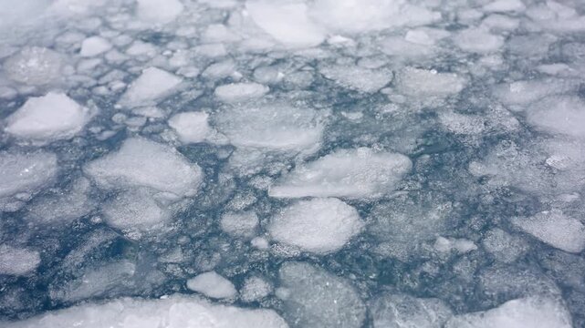 Floating Sea Ice In Antarctic Waters