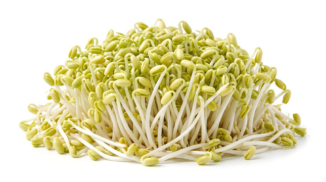 Heap of fresh raw organic mung bean sprouts isolated on white background